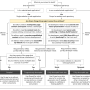 how-to-decouple-drupal-in-2019-flowchart-full.png